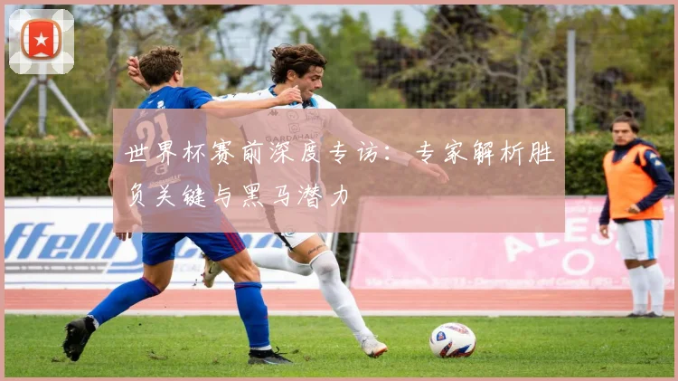 世界杯赛前深度专访：专家解析胜负关键与黑马潜力
