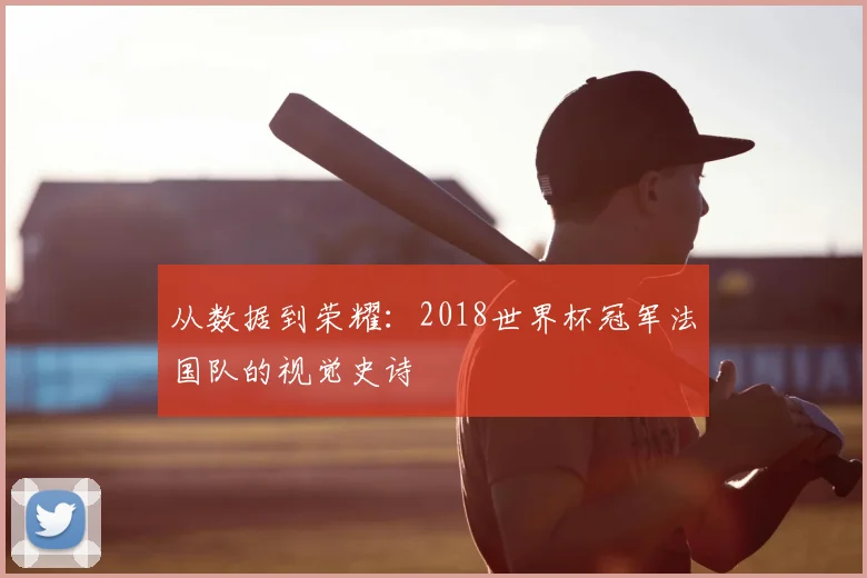 从数据到荣耀：2018世界杯冠军法国队的视觉史诗