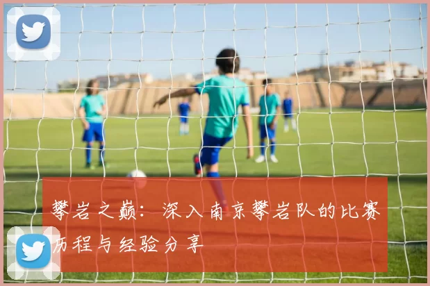 攀岩之巅：深入南京攀岩队的比赛历程与经验分享