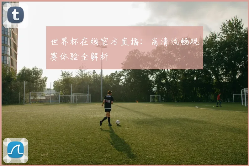 世界杯在线官方直播:高清流畅观赛体验全解析