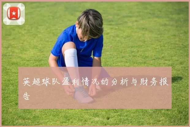 英超球队盈利情况的分析与财务报告
