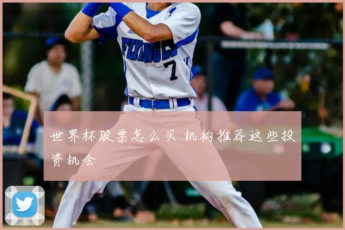 世界杯股票怎么买 机构推荐这些投资机会
