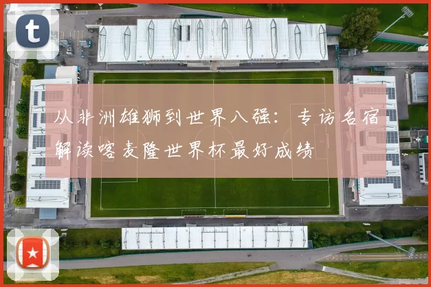 从非洲雄狮到世界八强：专访名宿解读喀麦隆世界杯最好成绩