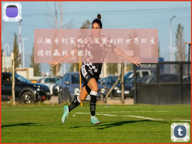 从概率到策略：深度剖析世界杯竞猜的赢利可能性