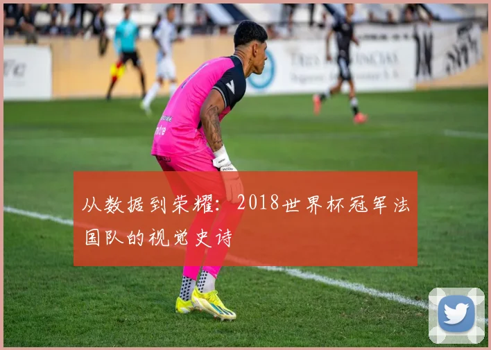 从数据到荣耀：2018世界杯冠军法国队的视觉史诗