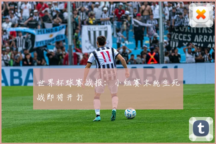 世界杯球赛战报：小组赛末轮生死战即将开打