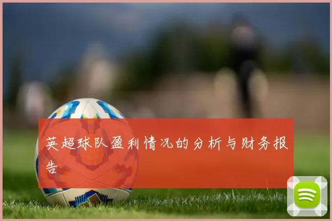英超球队盈利情况的分析与财务报告