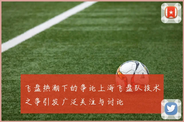 飞盘热潮下的争论上海飞盘队技术之争引发广泛关注与讨论