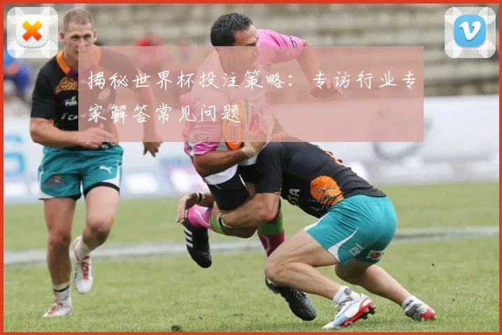 揭秘世界杯投注策略：专访行业专家解答常见问题
