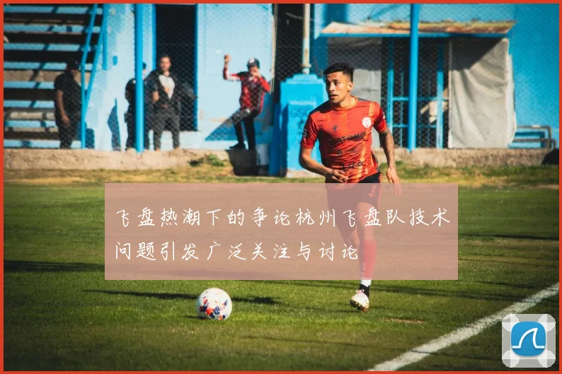 飞盘热潮下的争论杭州飞盘队技术问题引发广泛关注与讨论