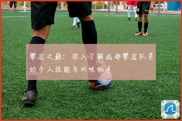 攀岩之巅：深入了解成都攀岩队员的个人技能与训练秘辛