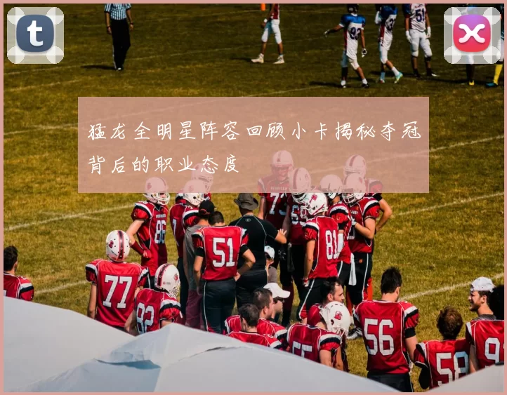 猛龙全明星阵容回顾小卡揭秘夺冠背后的职业态度