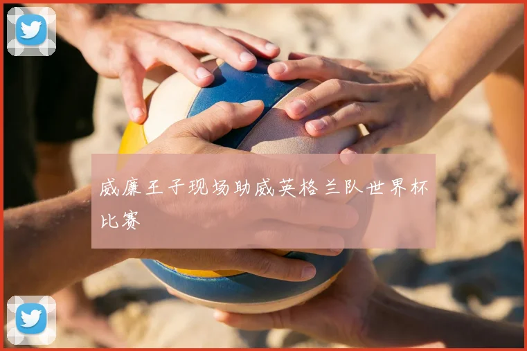 威廉王子现场助威英格兰队世界杯比赛