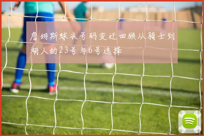 詹姆斯球衣号码变迁回顾从骑士到湖人的23号与6号选择