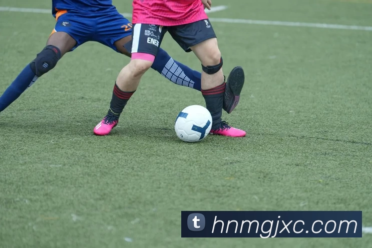 华体会体育APP 封面图